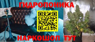 индика Аргун