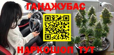 индика Аргун