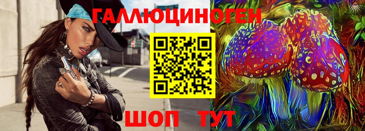 Галлюциногенные грибы Psilocybe Артём