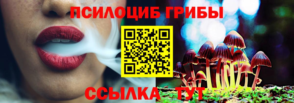 Артём  Псилоцибиновые грибы Psilocybine cubensis  Вход с VPN 