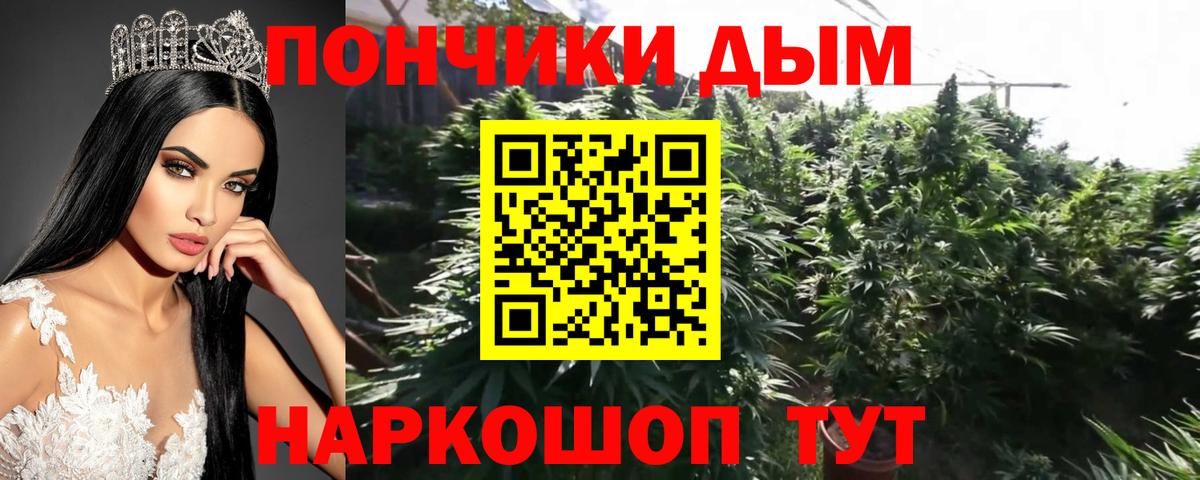 Канабис планчик  Каннабис OG Kush  Канабис планчик  Вход с VPN  Артём 